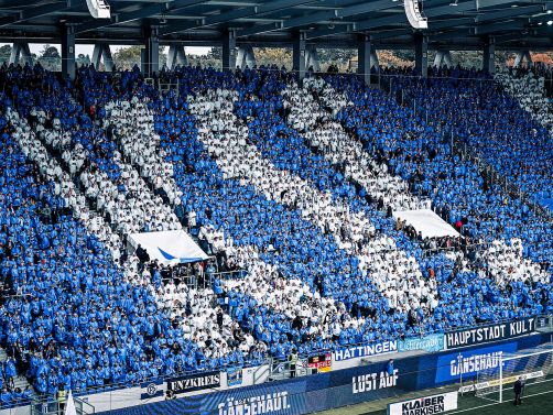 KSC Stadion Fankurve