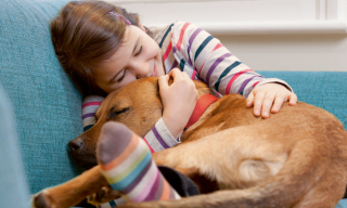 BesserVersorgt Gas business: CO₂-kompensiertes Erdgas zu günstigen Preisen