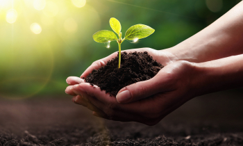 Mit gutem Beispiel voran