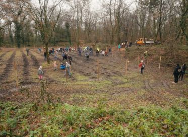 Baumpflanzaktion Karlsruhe