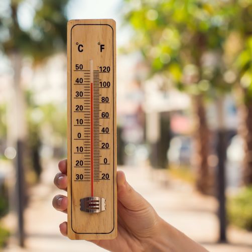 thermometer