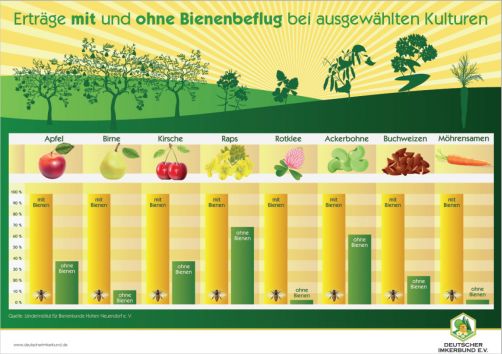 Erträge mit und ohne Bienenbeflug bei ausgewählten Kulturen