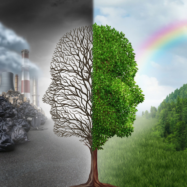 Klimaschutz vs. Realpolitik: Was bedeutet die EU-Taxonomie?