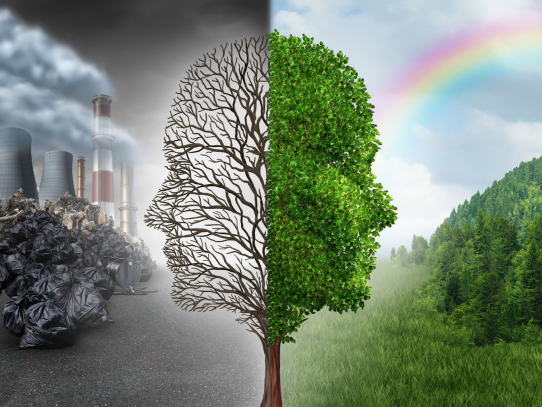 Klimaschutz vs. Realpolitik: Was bedeutet die EU-Taxonomie?