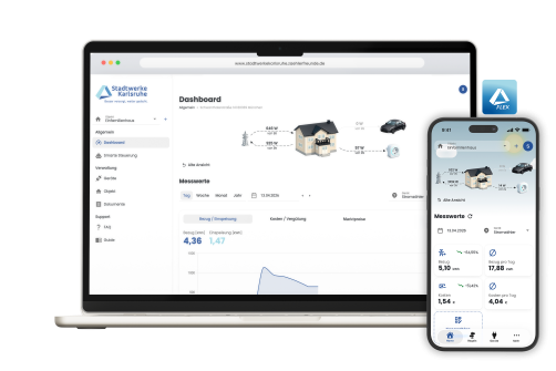 smartmeter