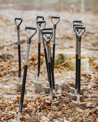 Baumpflanzaktion 2024