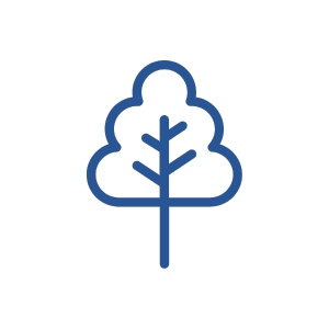 Icon Darstellung eines Baumes
