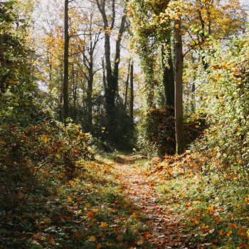 Naturschutzzentrum Karlsruhe-Rappenwört