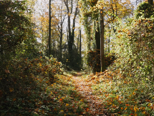 Naturschutzzentrum Karlsruhe-Rappenwört