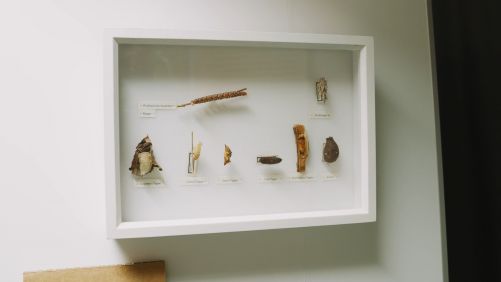 Naturschutzzentrum Karlsruhe-Rappenwört