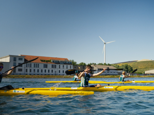 Die Rheinbrüder