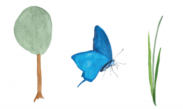 Klimahelden gefunden