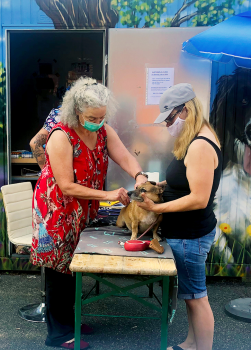 Tierärztin Dr. Astrid Fritzenschaf unterstützt den KATT e. V. ehrenamtlich.