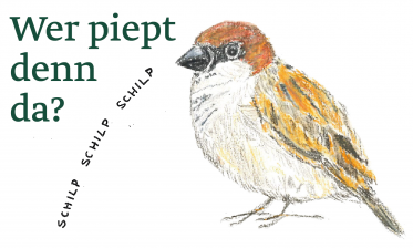 Wer piept denn da?