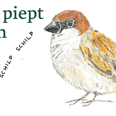 Wer piept denn da?