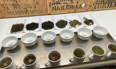Die Qualität geht in den Süden