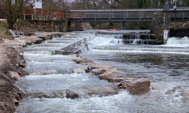 Die Kraft des Wassers nutzen – News