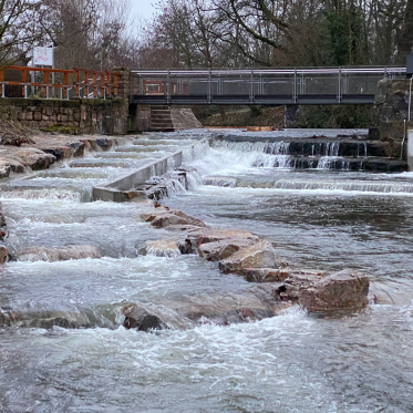 Die Kraft des Wassers nutzen – News