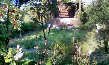 Amina Fritz – Mein Bild der Stadt