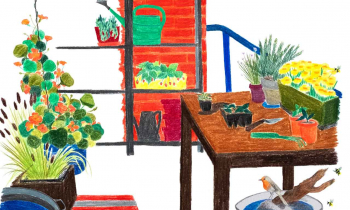 Auch der Kleinste Balkon kann etwas bewirken