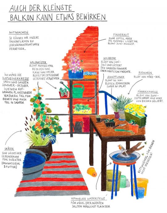 Illustration eines Balkons mit beschrifteten Pflanzen