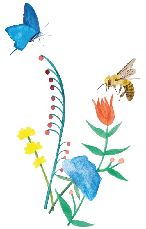 Illustration von Blumen mit schwirrenden Insekten
