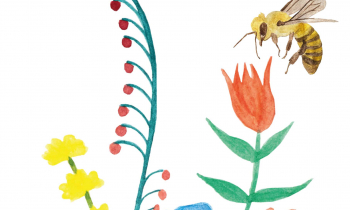 Summ, summ! – News