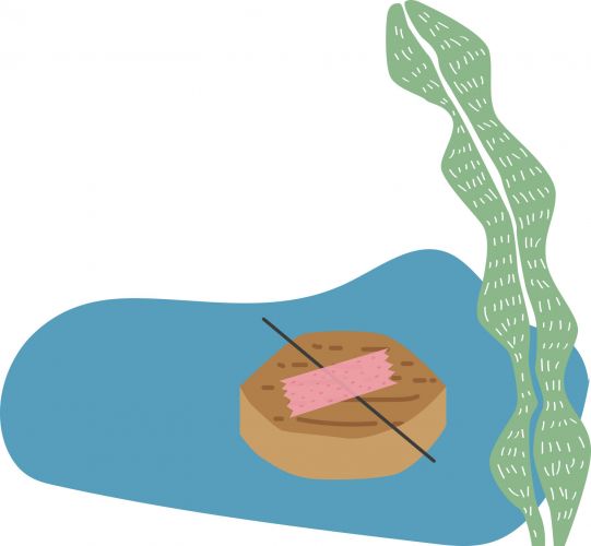 Illustration eines Nadelkompasses aus Korken gebastelt