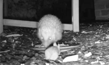 Boris Kahl – Mein Bild der Stadt