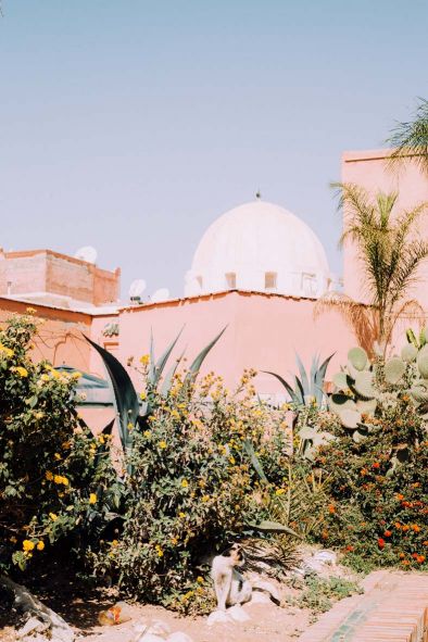 Medina, Marrakesch, Februar 2019 »Die alten Mauern der Medina färben jede Szenerie rosarot zu einem Labyrinth aus Gassen. Das kostet uns schon zu Beginn des Trips durch die Medina 20 Dirham Wegzoll.«