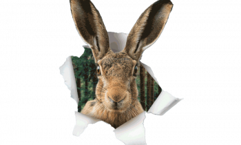 Aufruf für den Klimaschutz