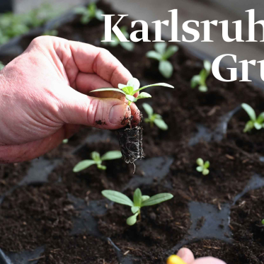 Karlsruher Grün