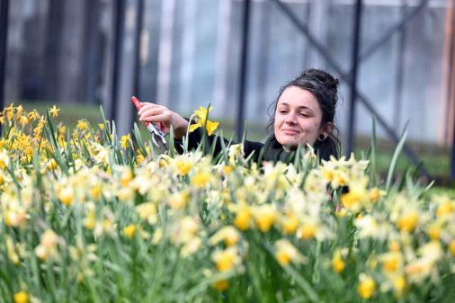 Täglich arbeiten in der Stadtgärtnerei 15 Mitarbeiter*innen und 20 Auszubildende für eine grüne, bunte und naturnahe Stadt.