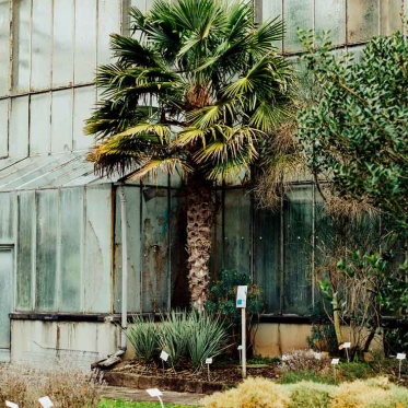 Fotosafari im Botanischen Garten des KIT