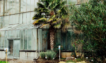 Fotosafari im Botanischen Garten des KIT