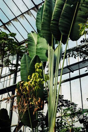 Der Botanischen Garten des KIT dient der Lehre und Forschung. Es gibt auch Führungen für Besucher*innen.