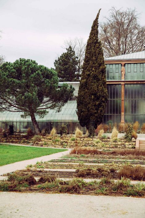 Die Umgestaltung des Botanischen Gartens bringt ursprüngliche Strukturen und Erwartungen von Besucher*innen zusammen.