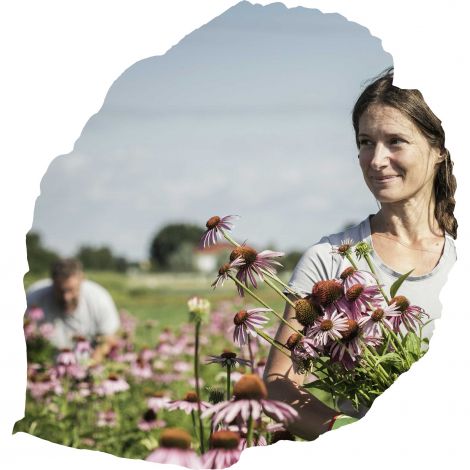 Terra Medica