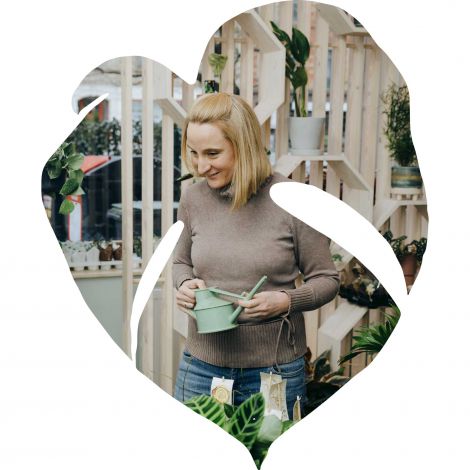 Monstera Pflanzenausschnitt