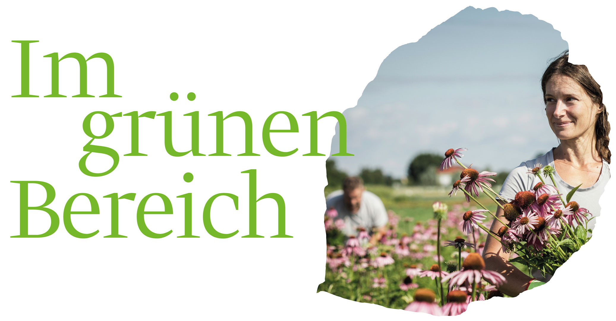 Im grünen Bereich