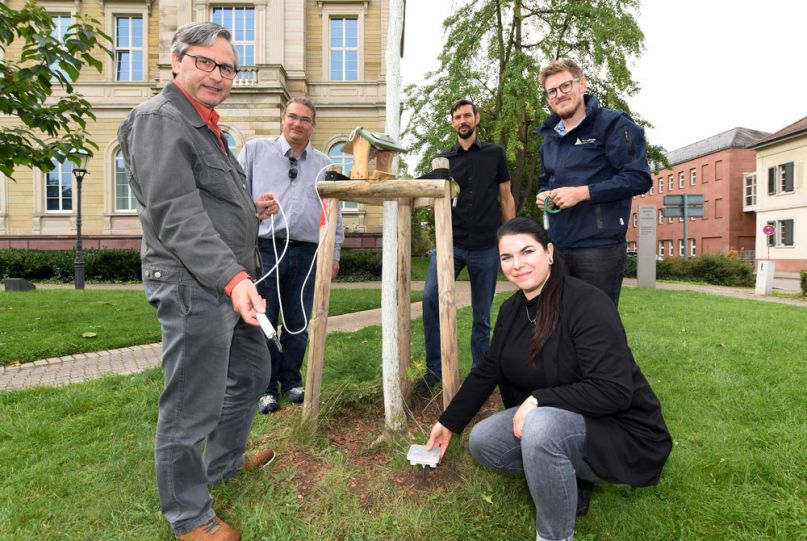 Smartcity Bewässerung für Stadtbäume