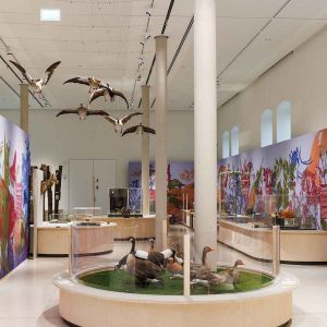 Verlosung Besuch Ausstellung NEOBIOTA