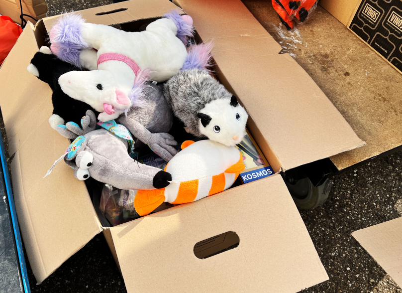 Kuscheltiere für Kinder