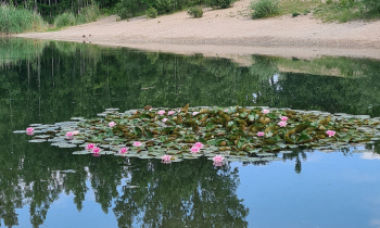 Gudrun Heinrich – Mein Bild der Stadt