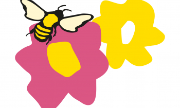 Kleine fleißige Stadtwerke- Mitarbeiterinnen – News