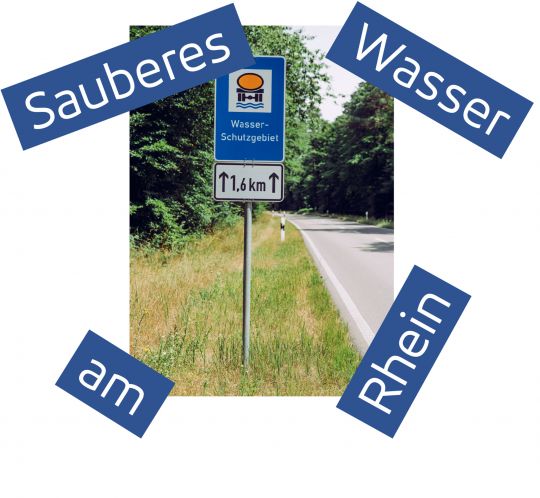 sauberes Wasser am Rhein
