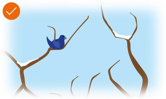 Vogel sitzt auf beschneiten Baum