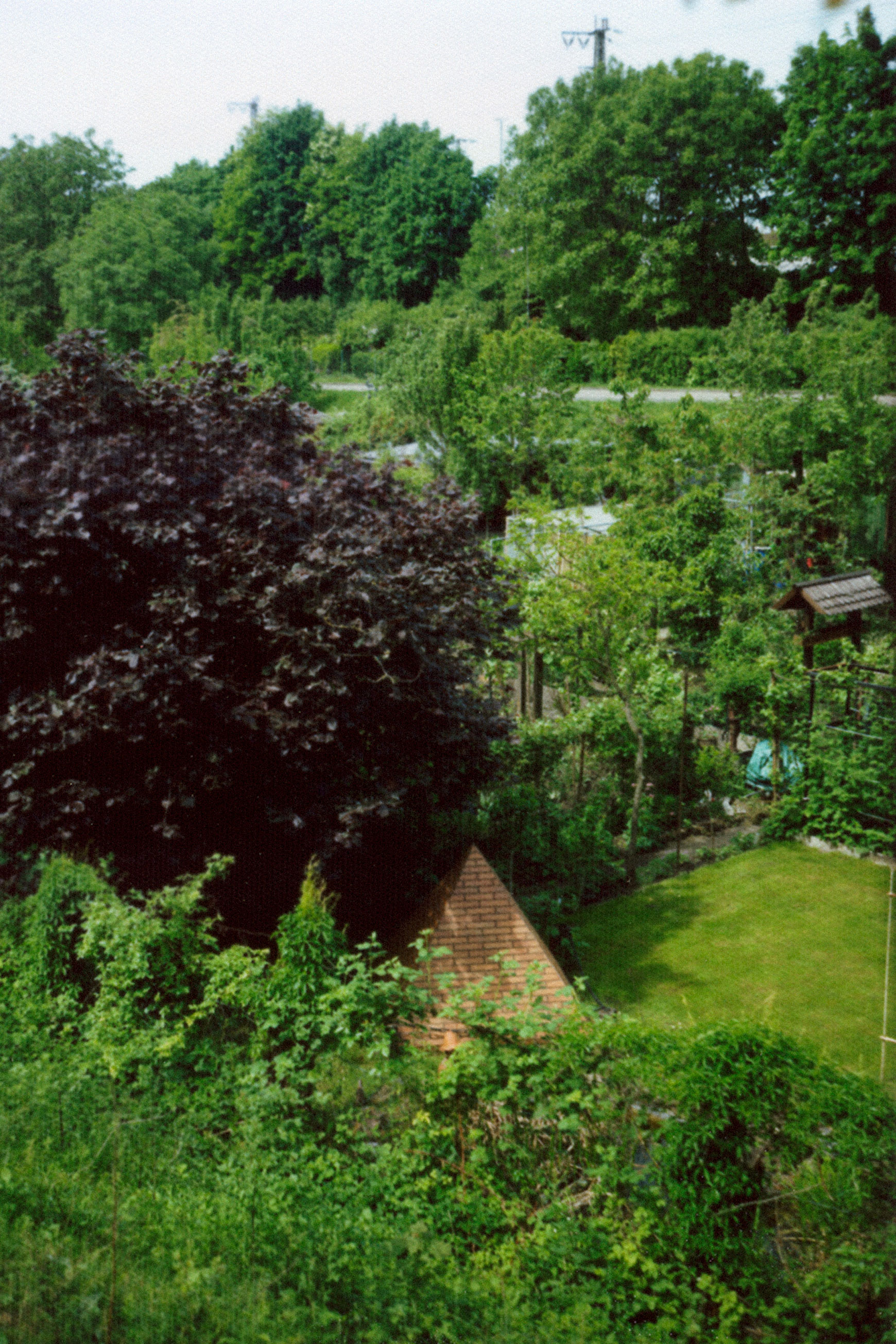 Über Karlsruhe lacht die Sonne – das freut nicht nur die Vegetation. Aufs Jahr gerechnet scheint sie hier durchschnittlich etwa 4,6 Stunden am Tag.