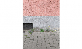 Lara Weiss – Mein Bild der Stadt