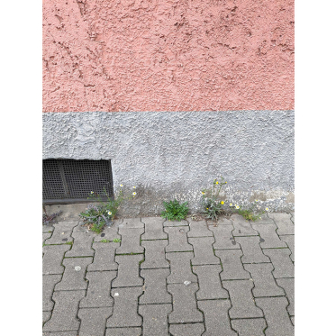 Lara Weiss – Mein Bild der Stadt